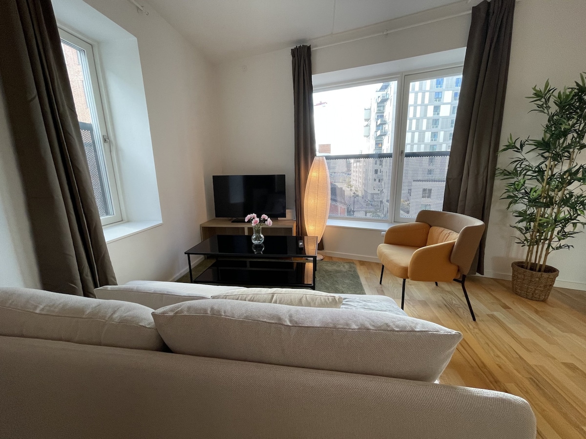 Image result for Beautiful apartment in Aalborg for 3 Guests - Flats for Rent in Aalborg ...