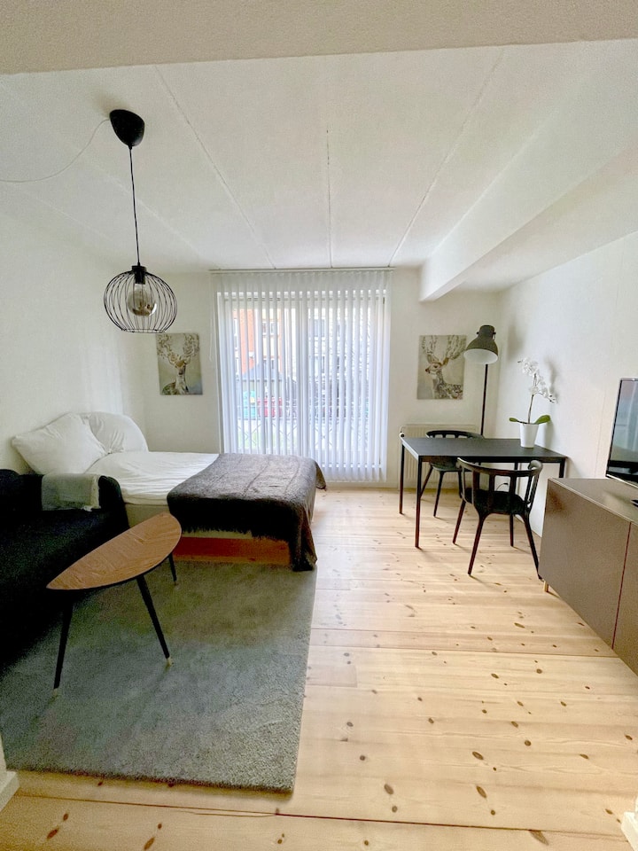 Aalborg Luxury Student Apartments photo