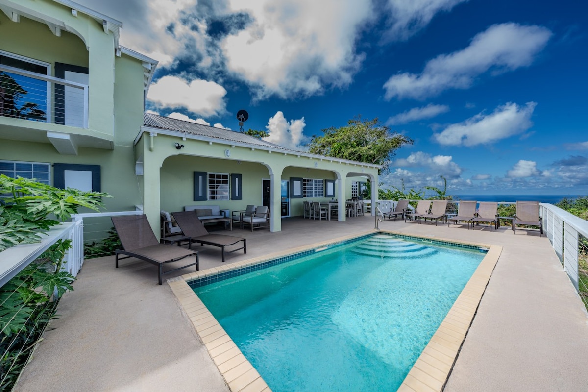 An inviting outdoor area features a refreshing private pool surrounded by comfortable lounge chairs. The villa’s exterior showcases a vibrant green facade, with an ample patio area offering views of the blue sky and ocean beyond. Lush greenery enhances the serene ambiance.