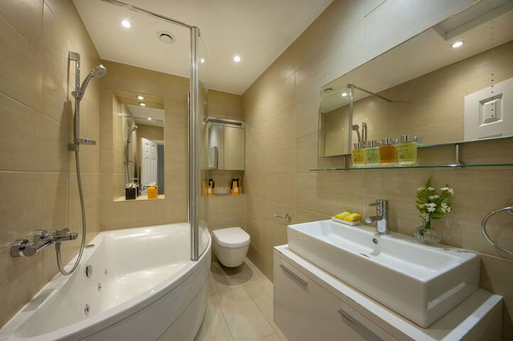 Stunning Hyde Park Apartment gallery image 5