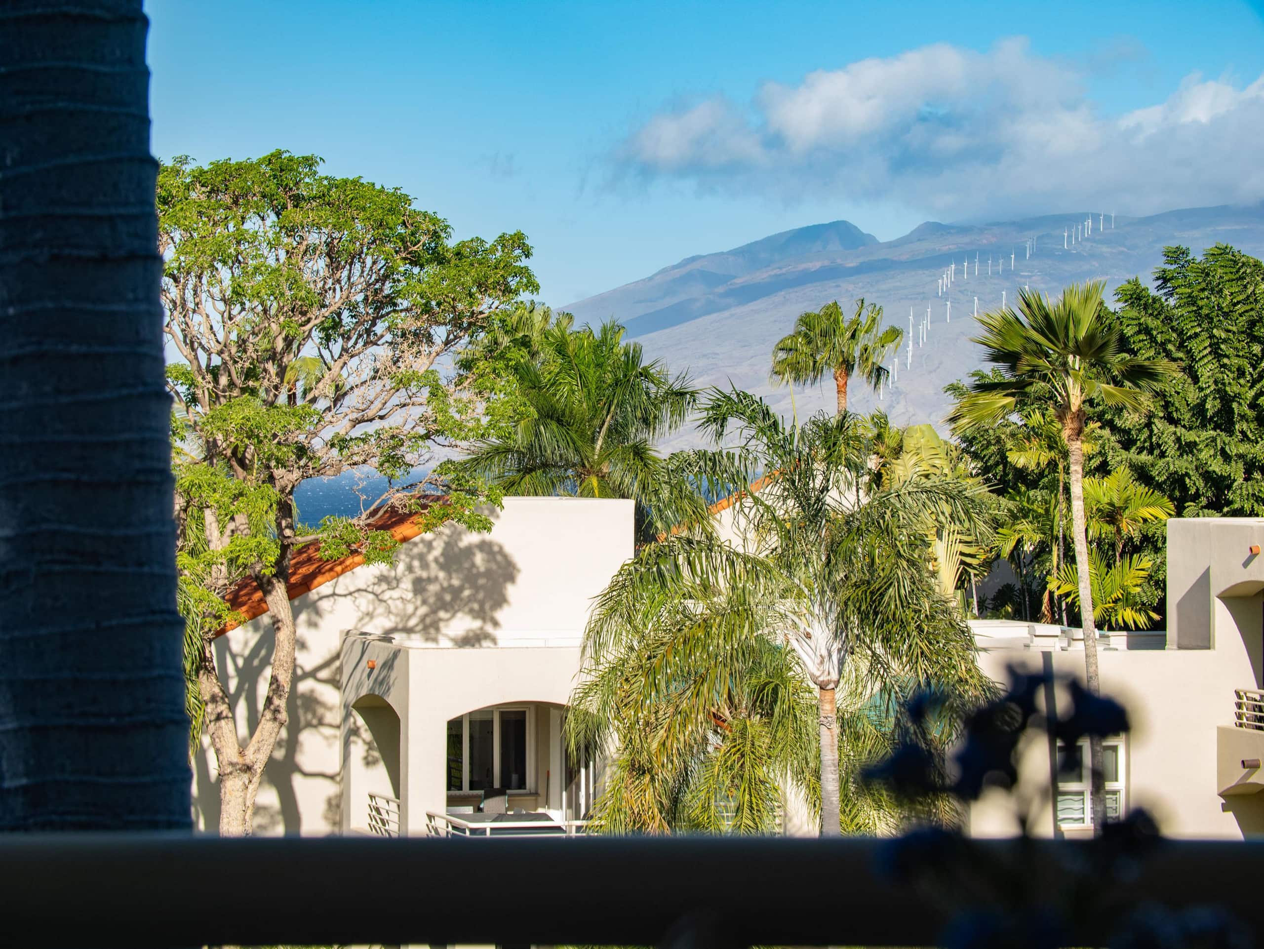 Condo in Kihei · ★5.0 · 2 bedrooms · 2 beds · 2 baths - Image 38