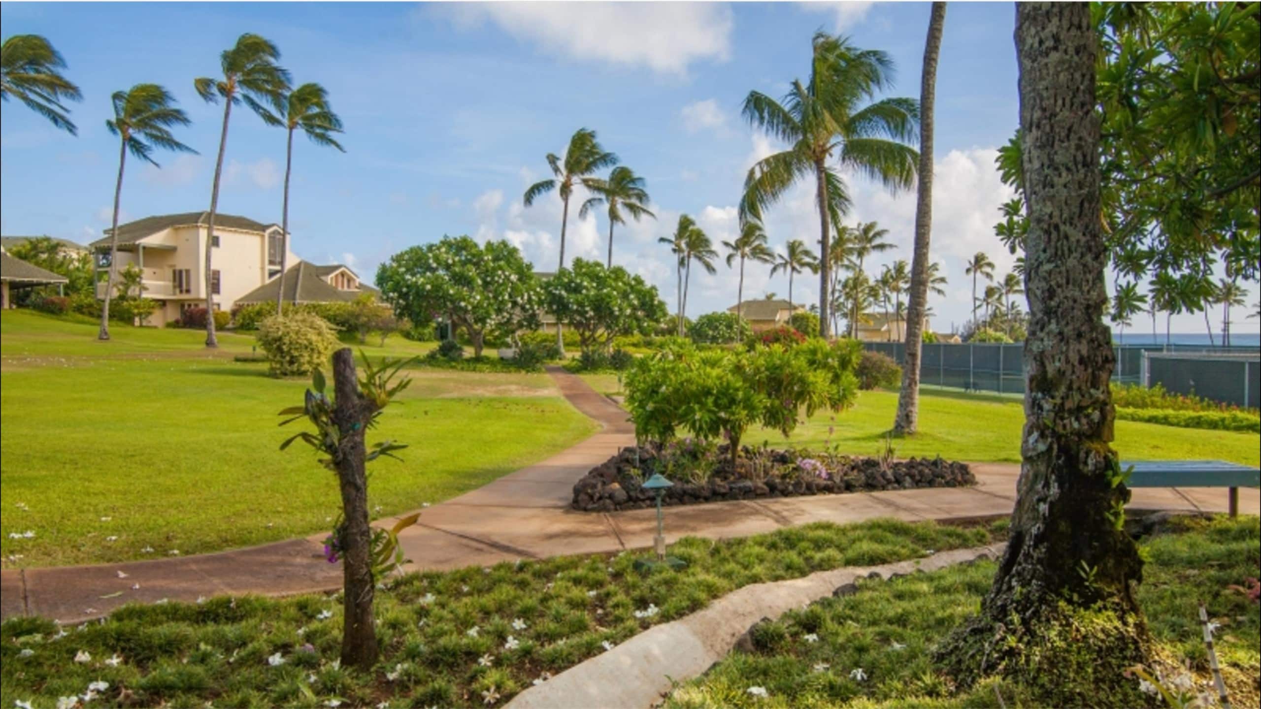 Condo in Koloa · ★4.8 · 2 bedrooms · 2 beds · 2 baths - Image 34