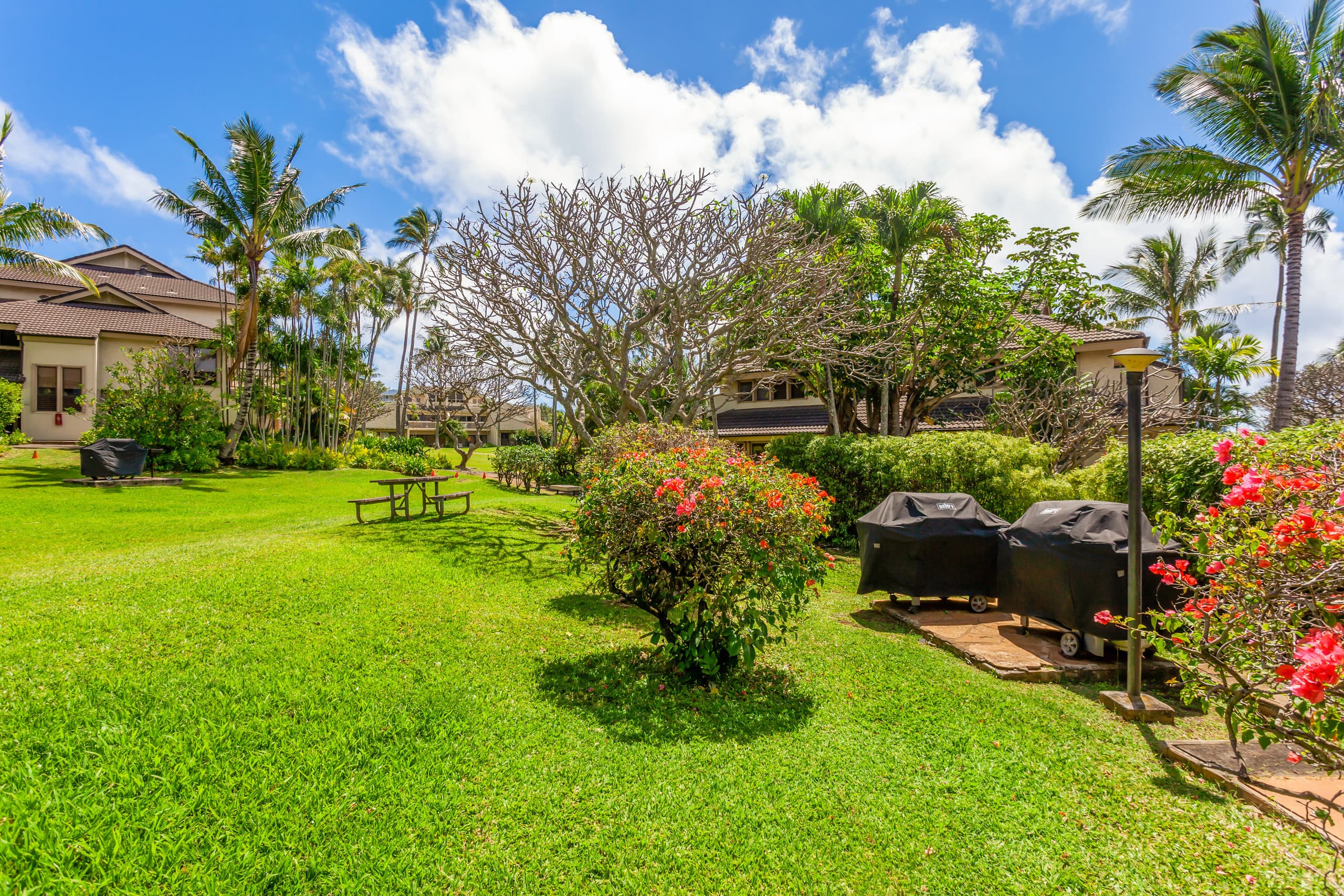 Condo in Koloa · ★4.8 · 2 bedrooms · 2 beds · 2 baths - Image 24