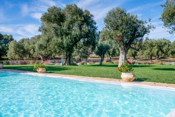 Tenuta Palù gallery image 5