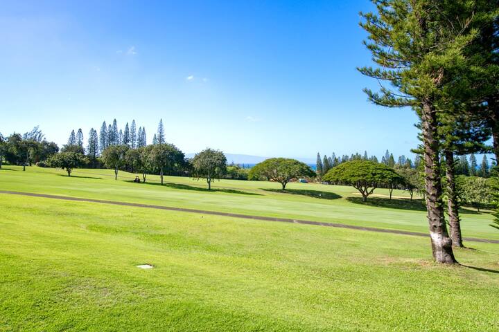 KBM Resorts | FREE CAR Kapalua Golf KGV-17P7 gallery image 2