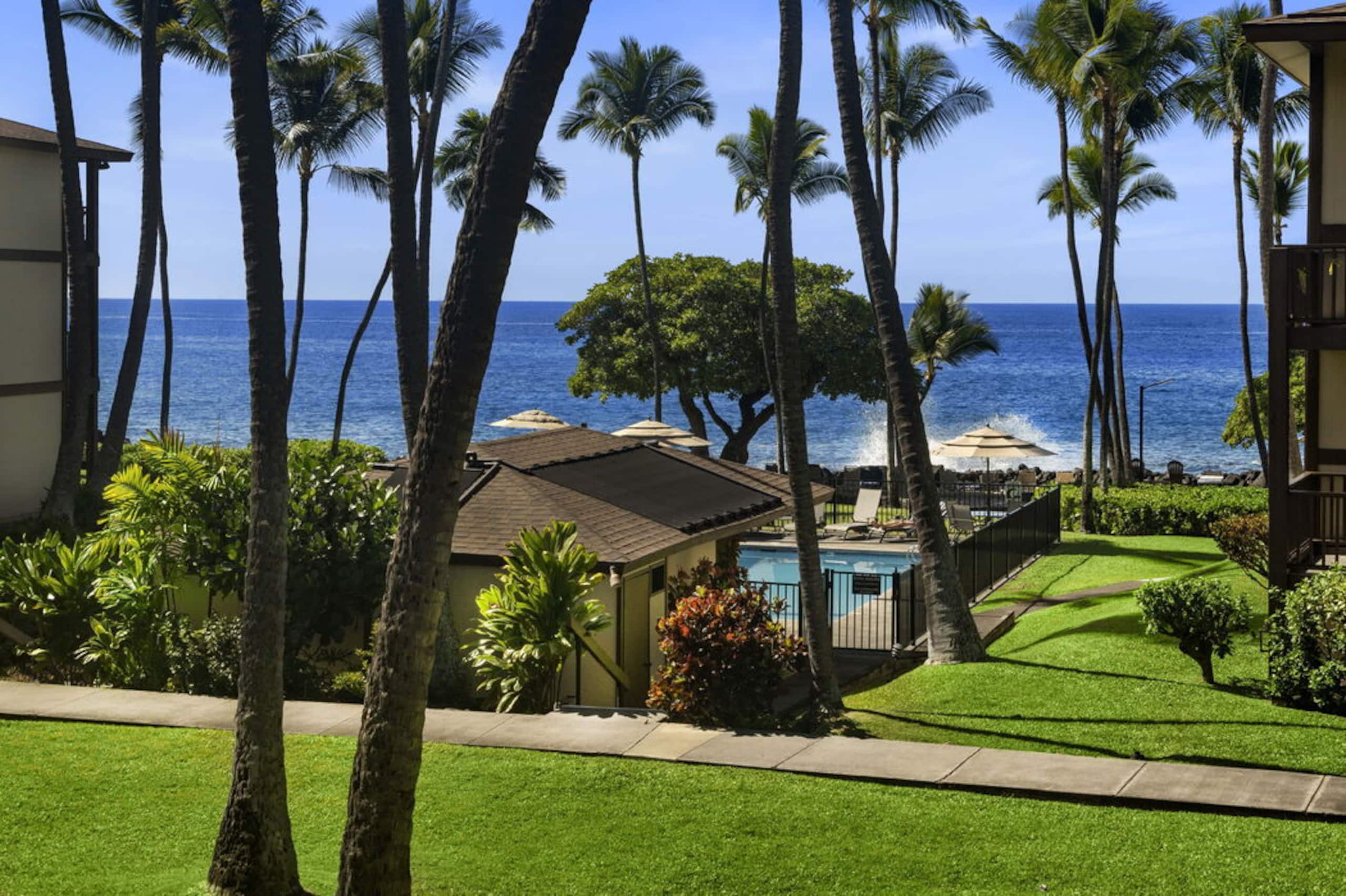 Condo in Kailua-Kona · ★4.83 · 1 bedroom · 1 bed · 1 bath - Image 17