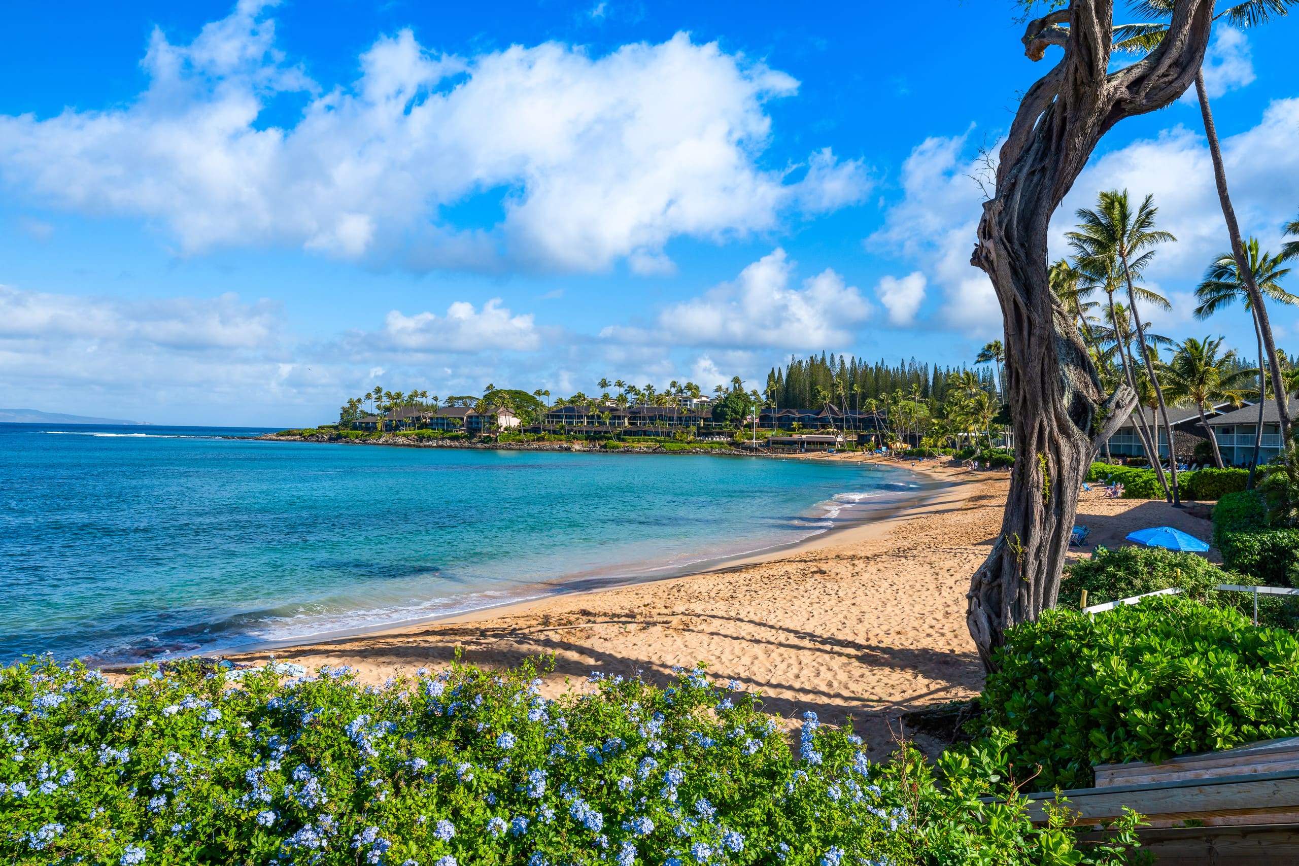 Condo in Lahaina · ★4.92 · 1 bedroom · 3 beds · 1 bath - Image 39