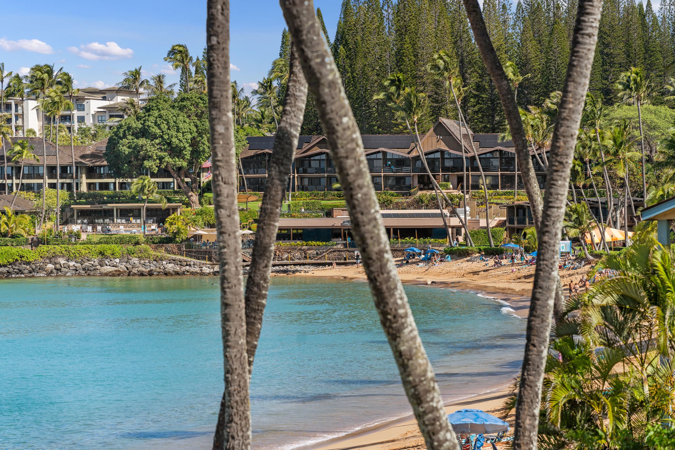 Condo in Lahaina · ★4.92 · 1 bedroom · 3 beds · 1 bath - Image 43