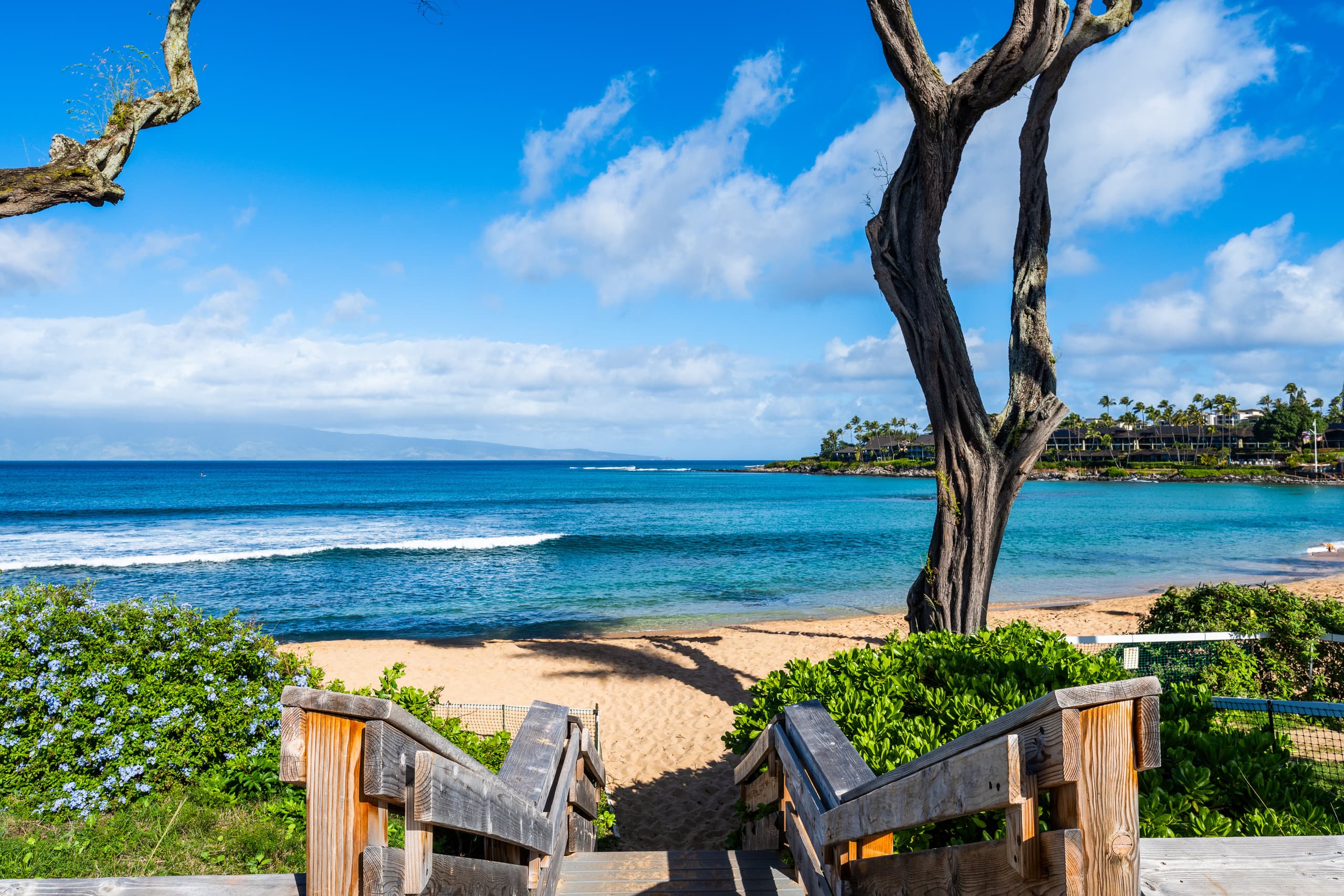 Condo in Lahaina · ★4.92 · 1 bedroom · 3 beds · 1 bath - Image 38