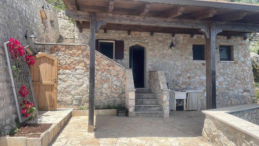 Oliventu gallery image 5