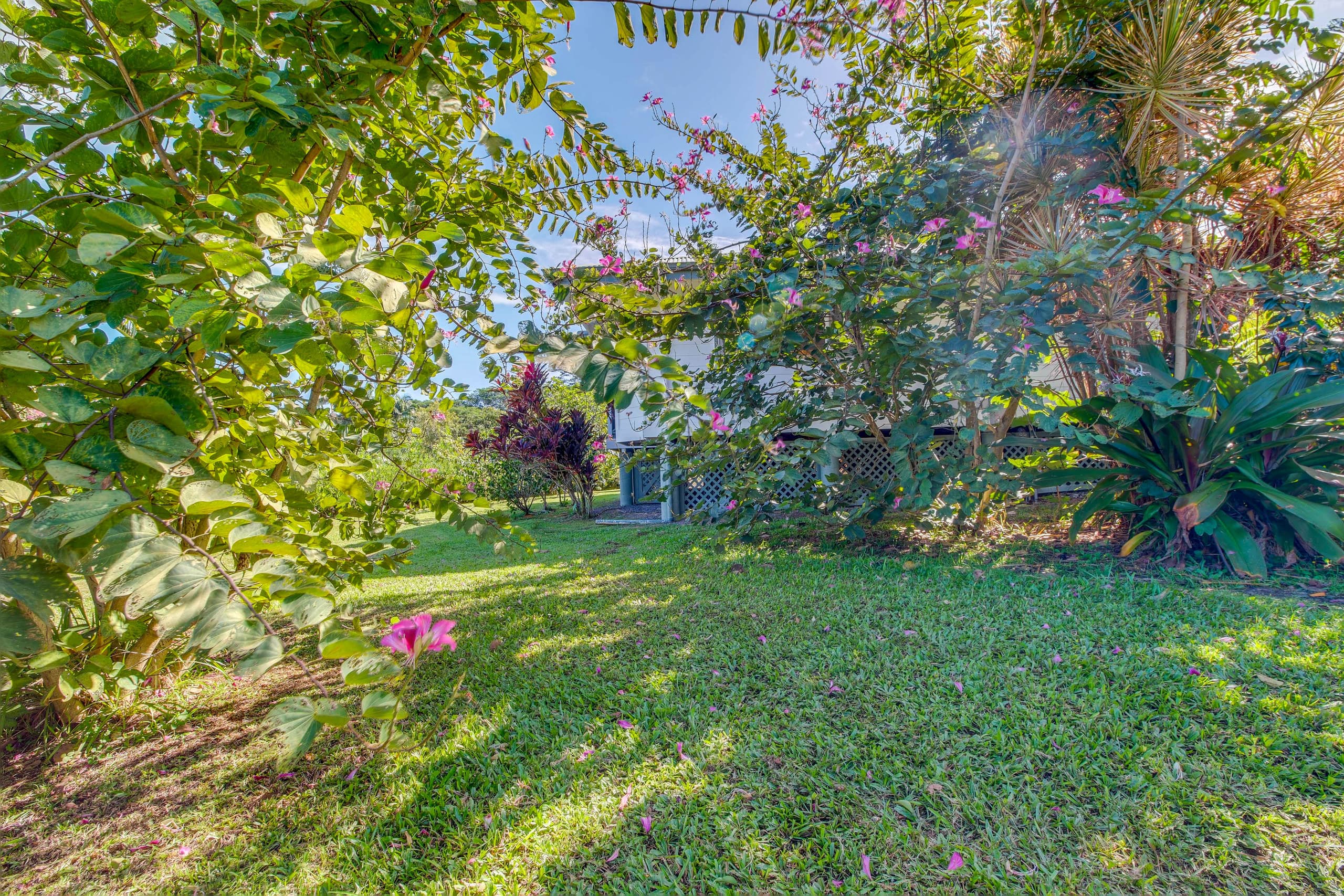 Honomu Home w/ Screened Lanai + Ocean Views - Photo 24