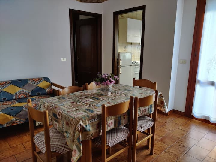 Comfy flat near the beach