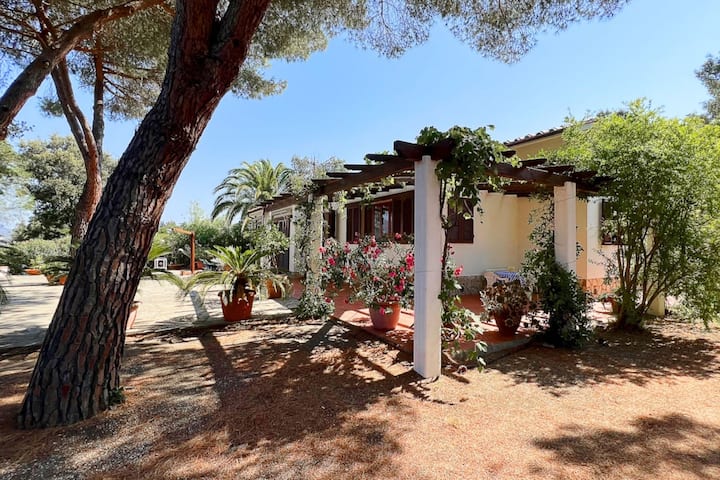 Villa Ai Pini - Isla de Elba