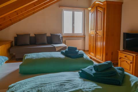 Familyroom with mountain view