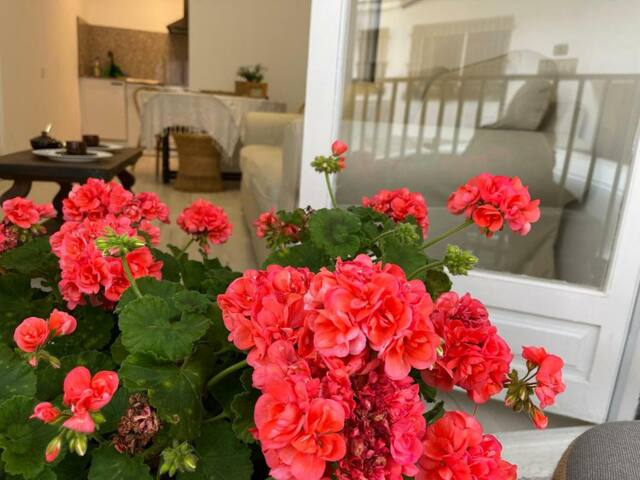 coral 14 – apartment in the center of llafranc-cos gallery image 2