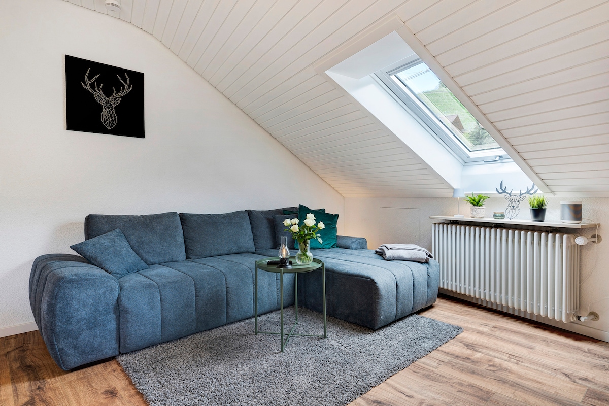 Successful Airbnb property: Dasensteinblick in Ortenaukreis