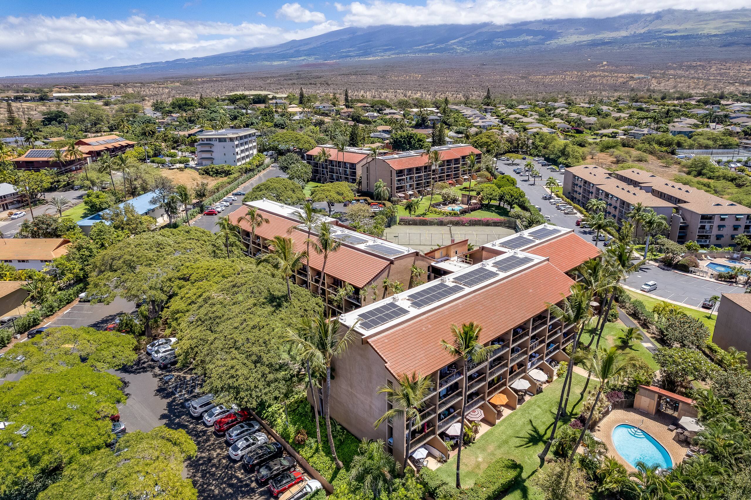 Condo in Kihei · ★4.95 · 1 bedroom · 2 beds · 1 bath - Image 36