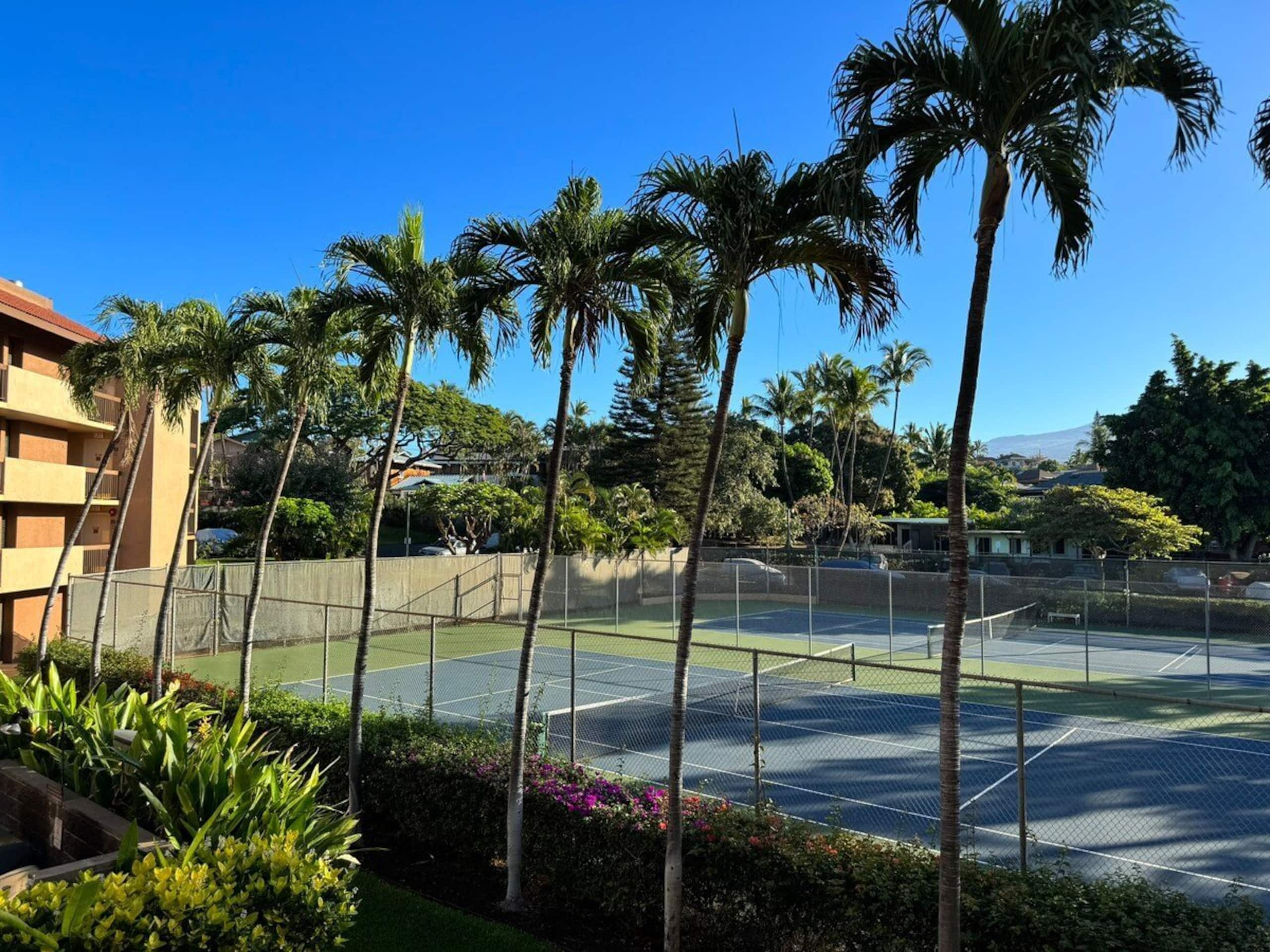 Condo in Kihei · ★4.95 · 1 bedroom · 2 beds · 1 bath - Image 27