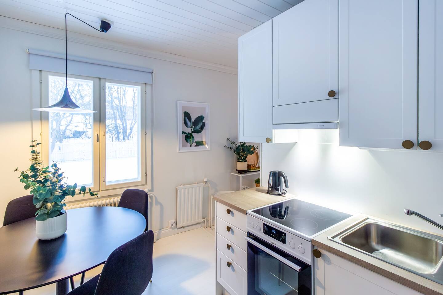 Villa Aurinko Studio Apartment In Hanko 4