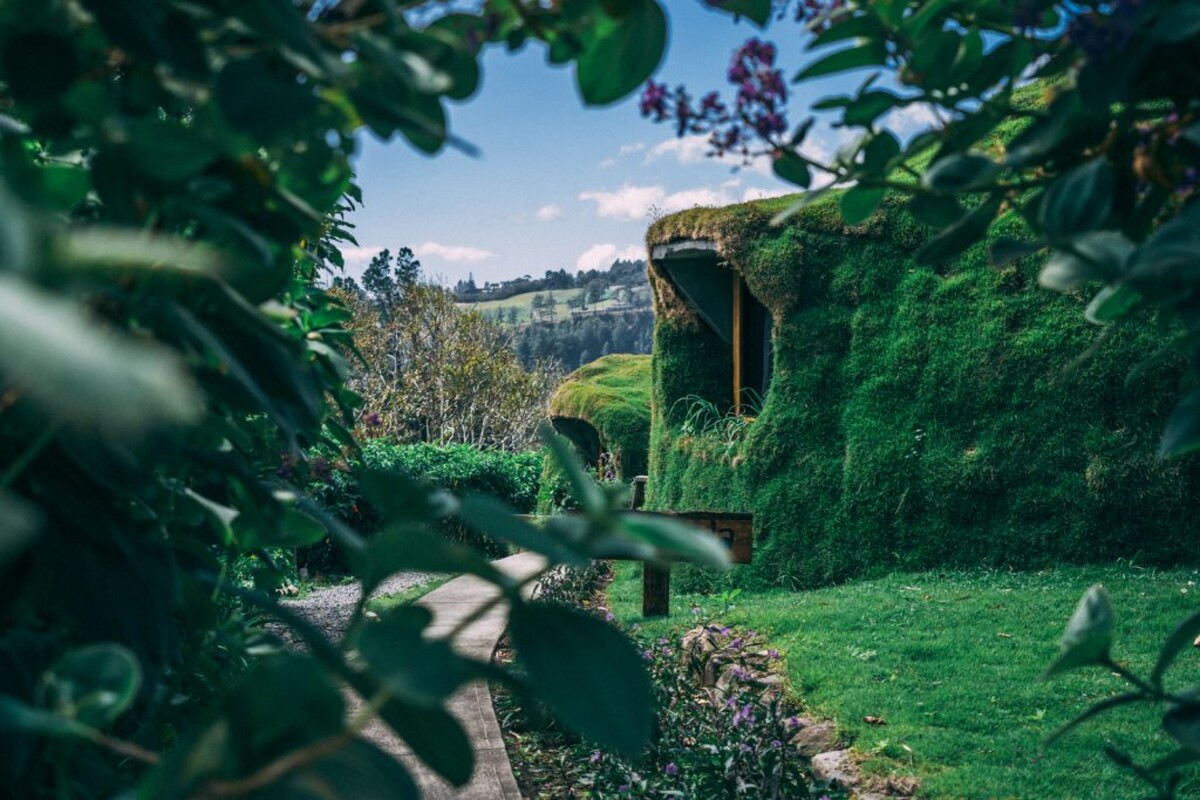 A view of a Hobbit Home nestled in green surroundings, partially obscured by lush foliage. The entrance is framed by vibrant grass and scattered flowers, with distant hills visible in the background under a clear sky.