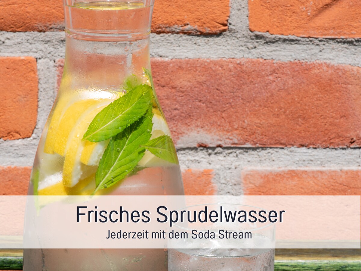 A glass carafe filled with sparkling water is presented, showcasing slices of lemon and fresh mint leaves for added flavor. A clear glass sits alongside, reflecting the light of the day, with a backdrop of textured brick that adds warmth to the setting.