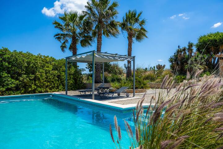 Buena Vista gallery image 2