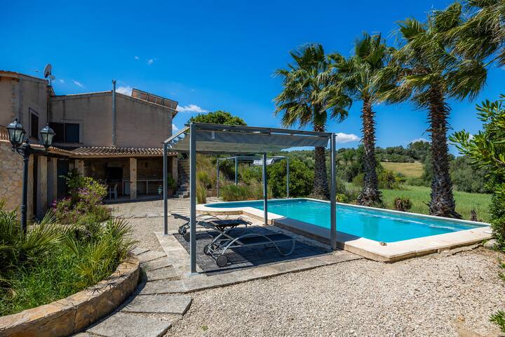 Buena Vista gallery image 3