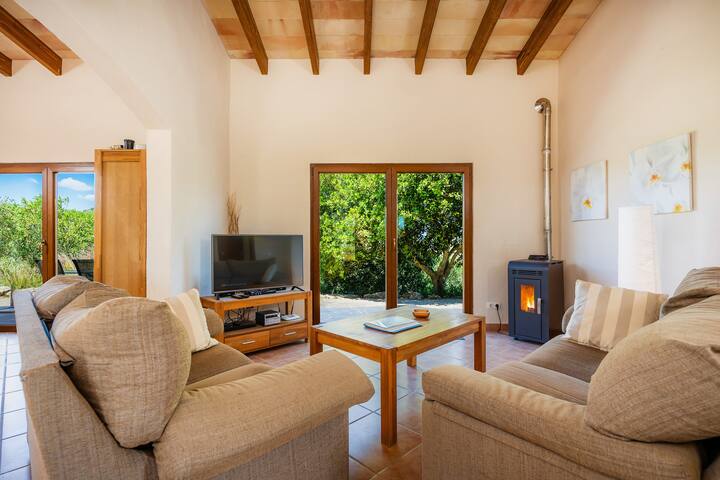 Buena Vista gallery image 4