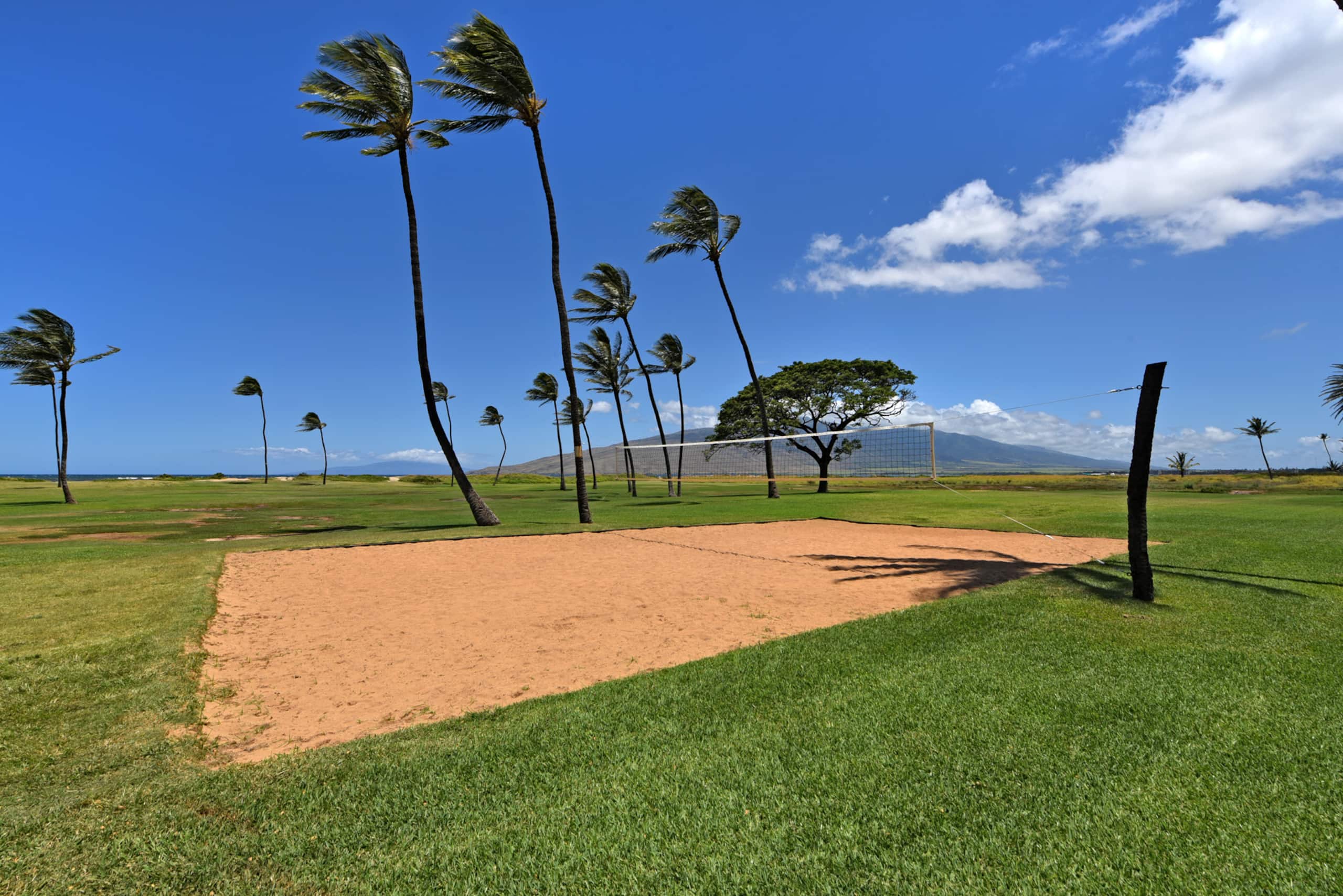 Condo in Kihei · ★4.73 · 1 bedroom · 2 beds · 1 private bath - Image 39