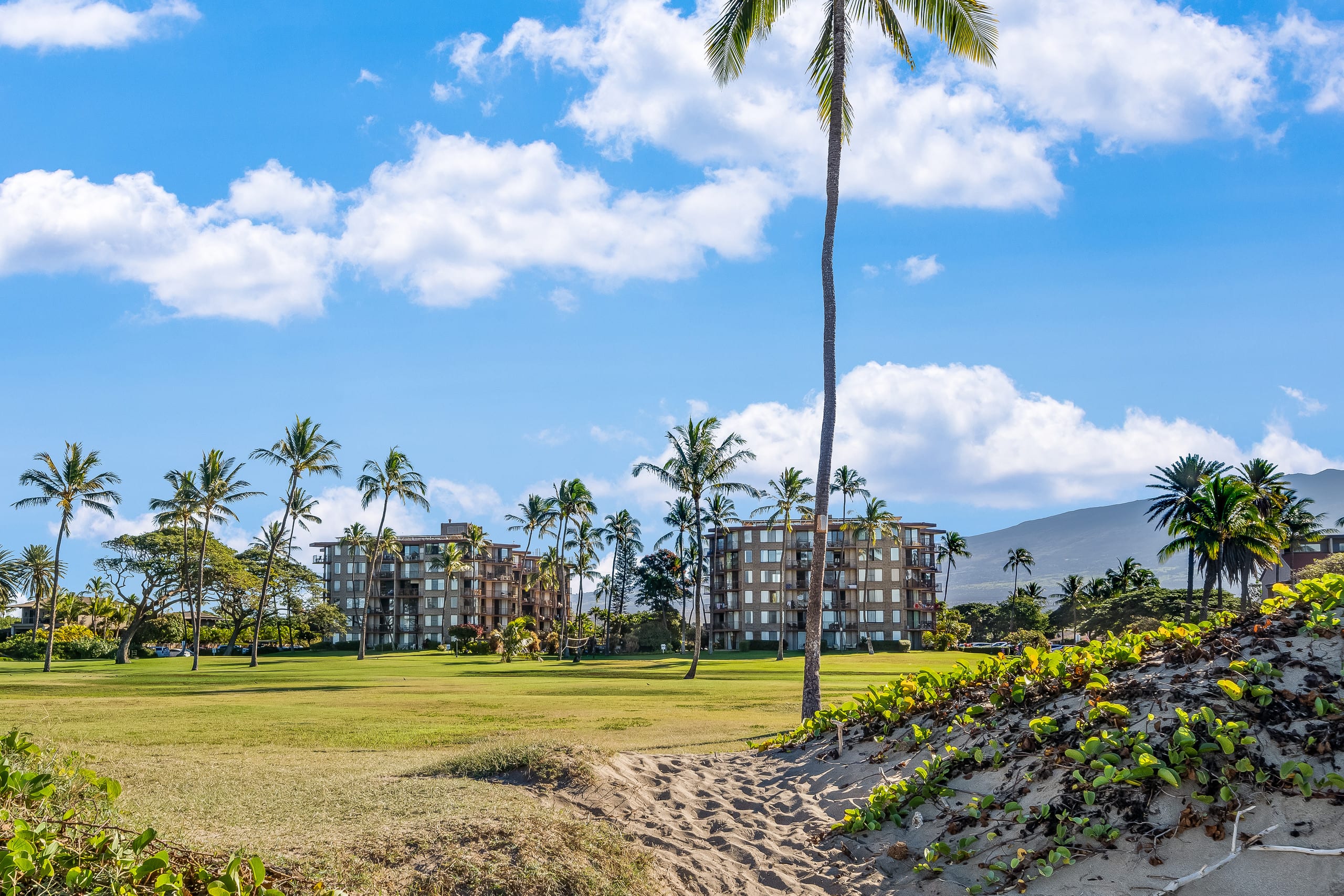 Condo in Kihei · ★4.73 · 1 bedroom · 2 beds · 1 private bath - Image 37