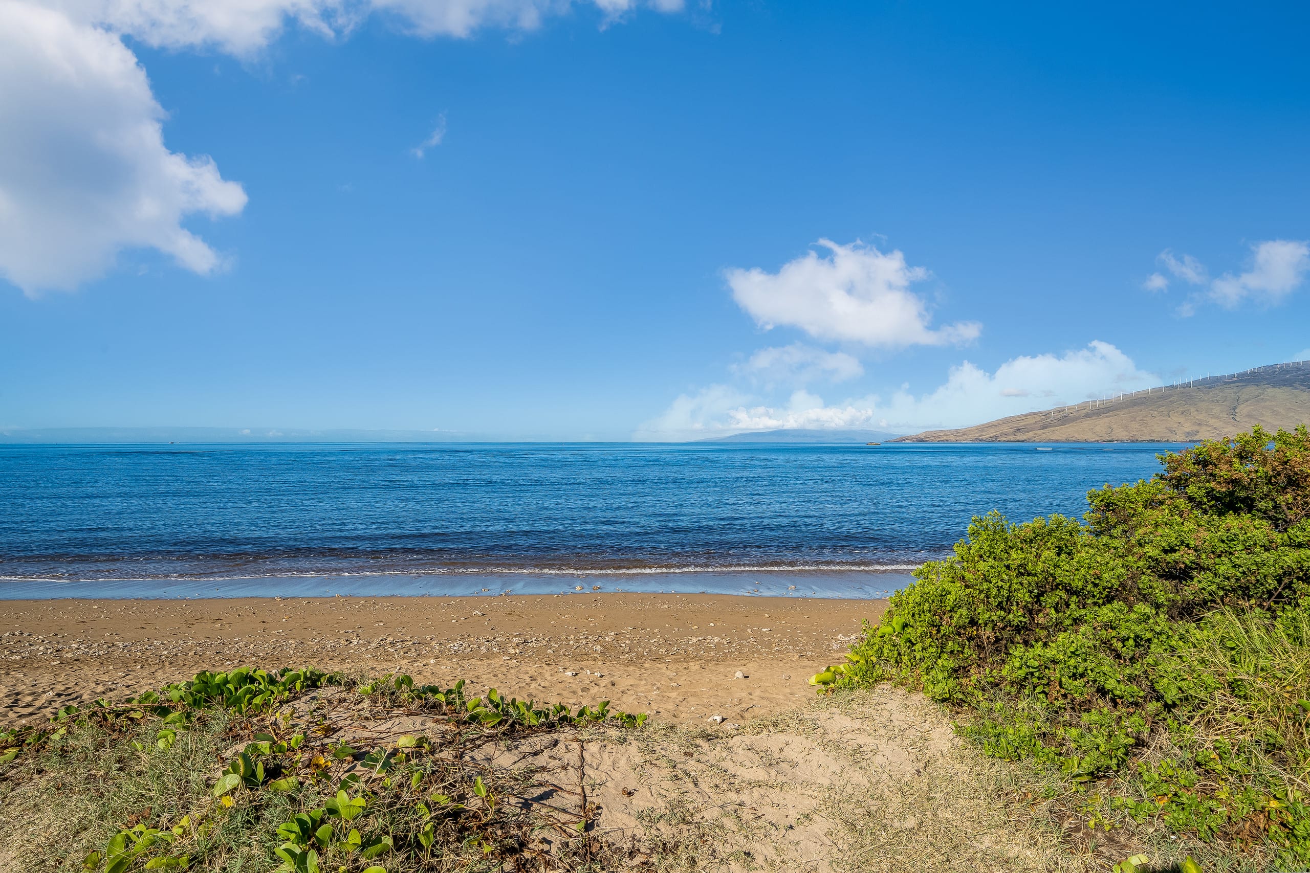 Condo in Kihei · ★4.73 · 1 bedroom · 2 beds · 1 private bath - Image 42