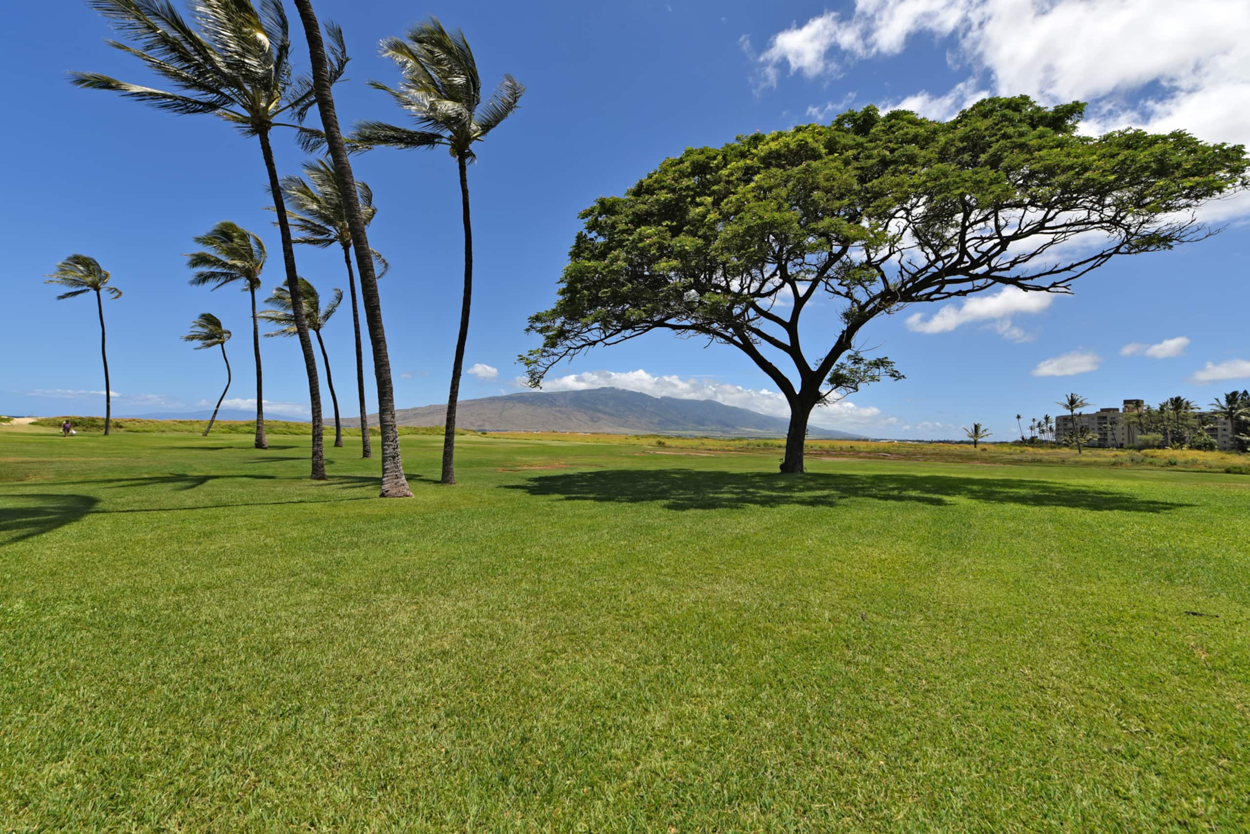 Condo in Kihei · ★4.73 · 1 bedroom · 2 beds · 1 private bath - Image 41