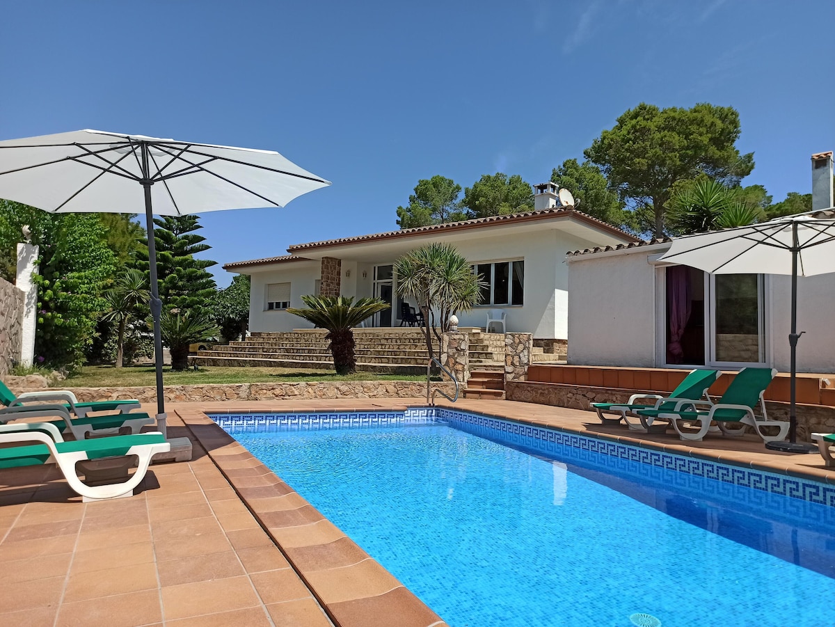 The image showcases a private pool area with a clear blue swimming pool surrounded by sun loungers. Large umbrellas offer shade, and steps lead up from the pool to a white, single-story house lined with greenery and a terrace.