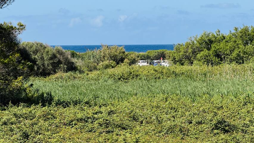 Mulberry gallery image 4