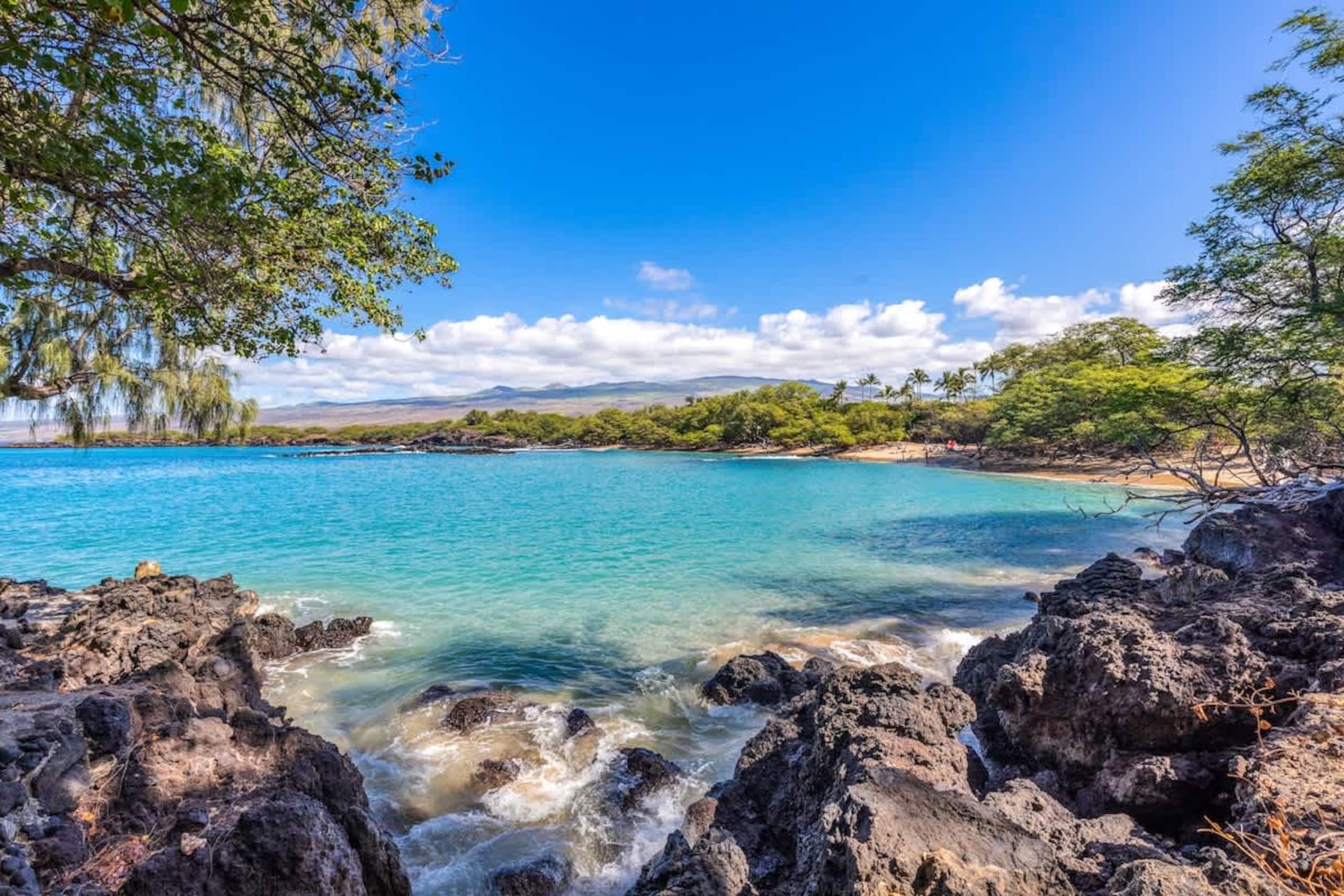 Home in Waimea · ★5.0 · 4 bedrooms · 5 beds · 4 baths - Image 39