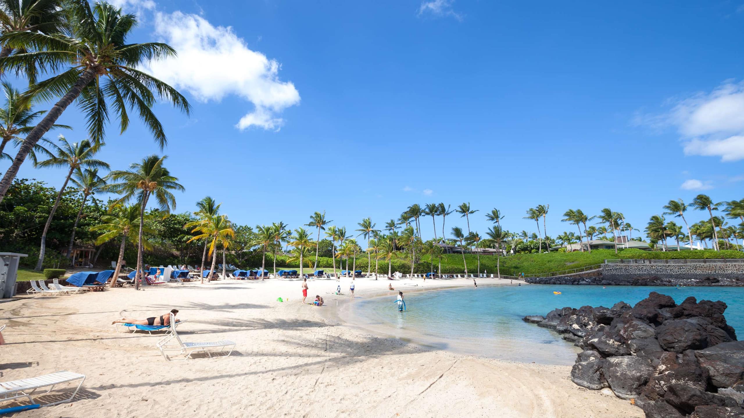 Condo in Waimea · ★5.0 · 3 bedrooms · 4 beds · 2 baths - Image 31