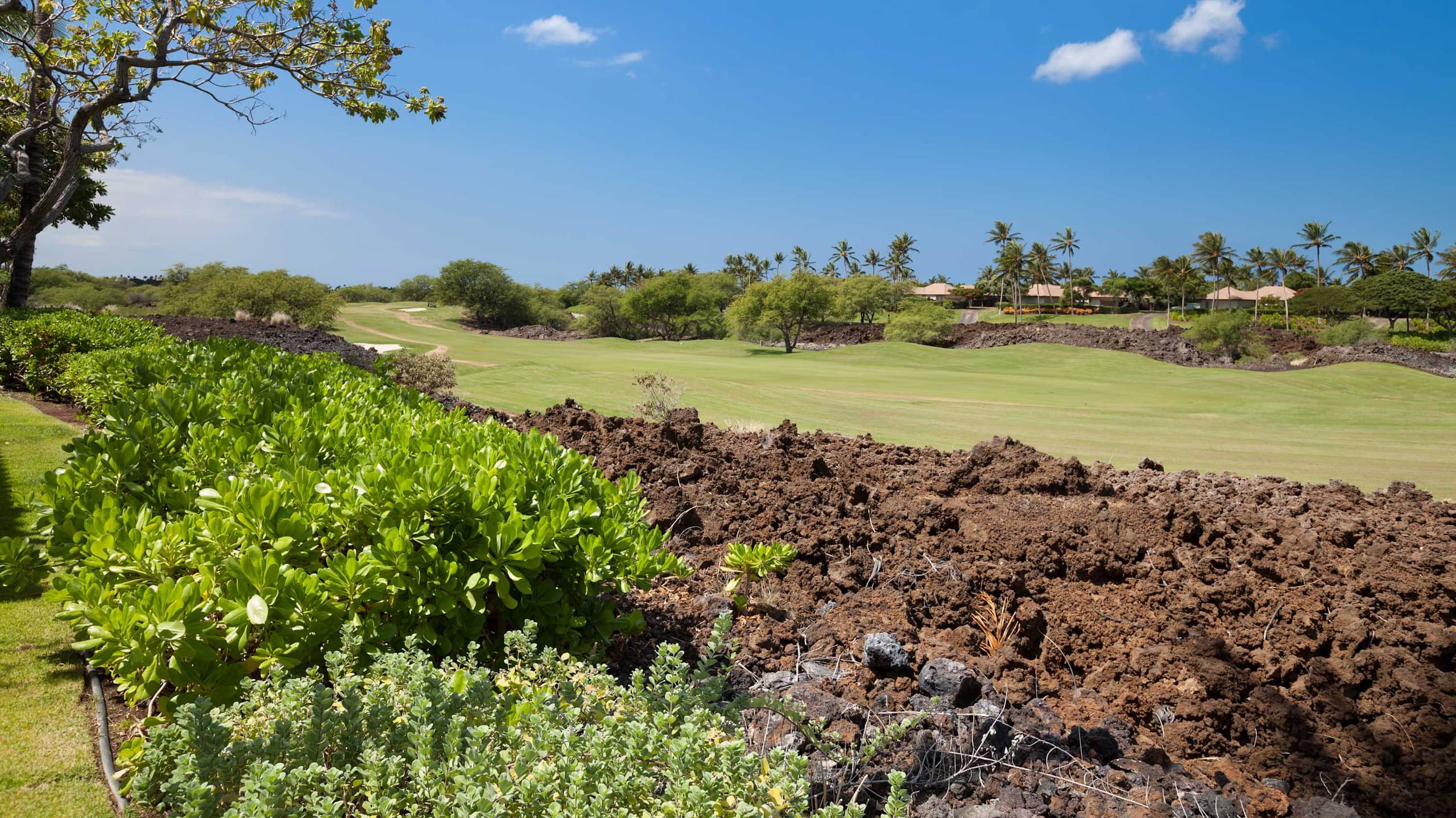 Condo in Waimea · ★5.0 · 3 bedrooms · 4 beds · 2 baths - Image 28