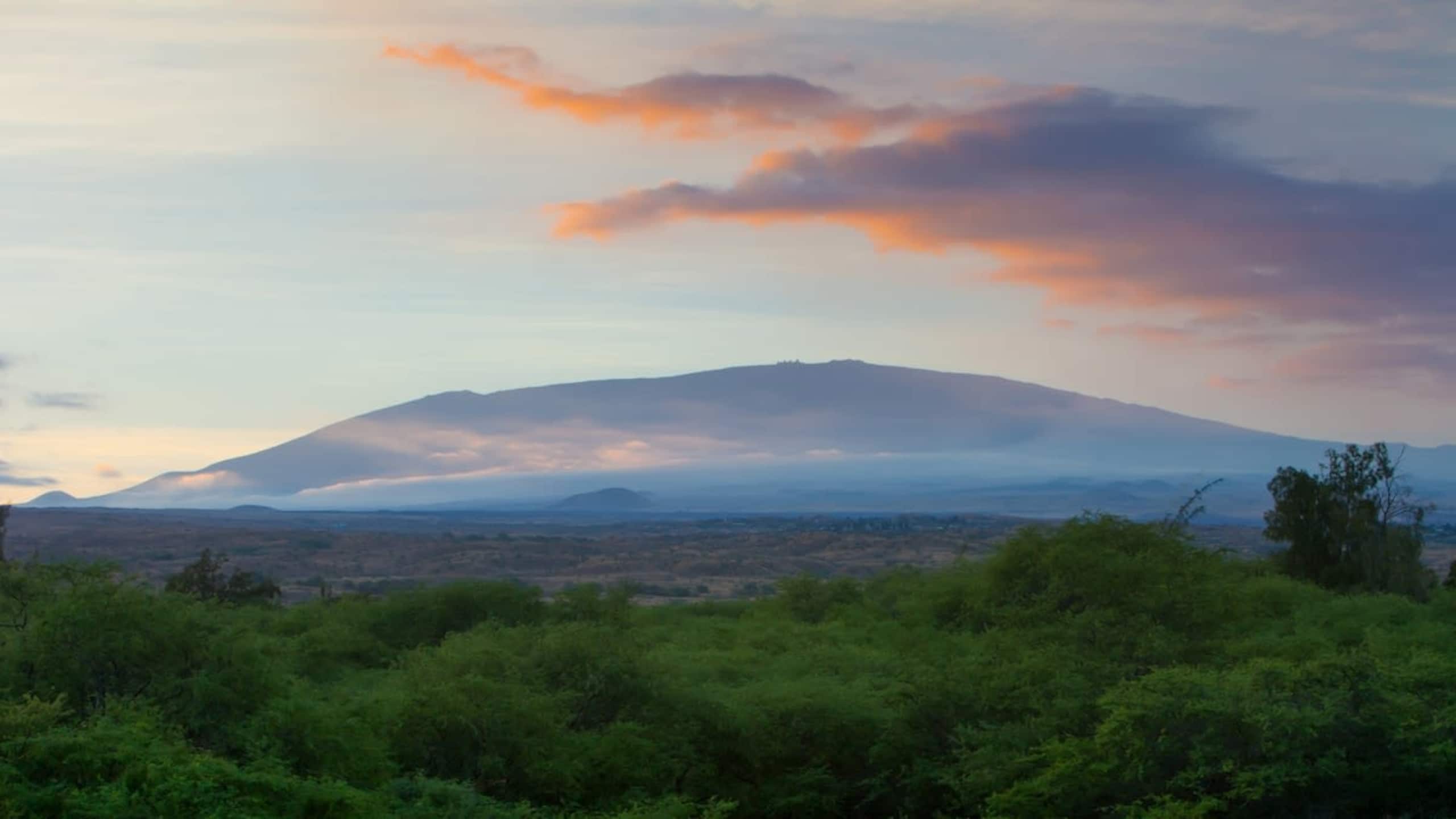 Condo in Waimea · ★5.0 · 3 bedrooms · 4 beds · 2 baths - Image 29