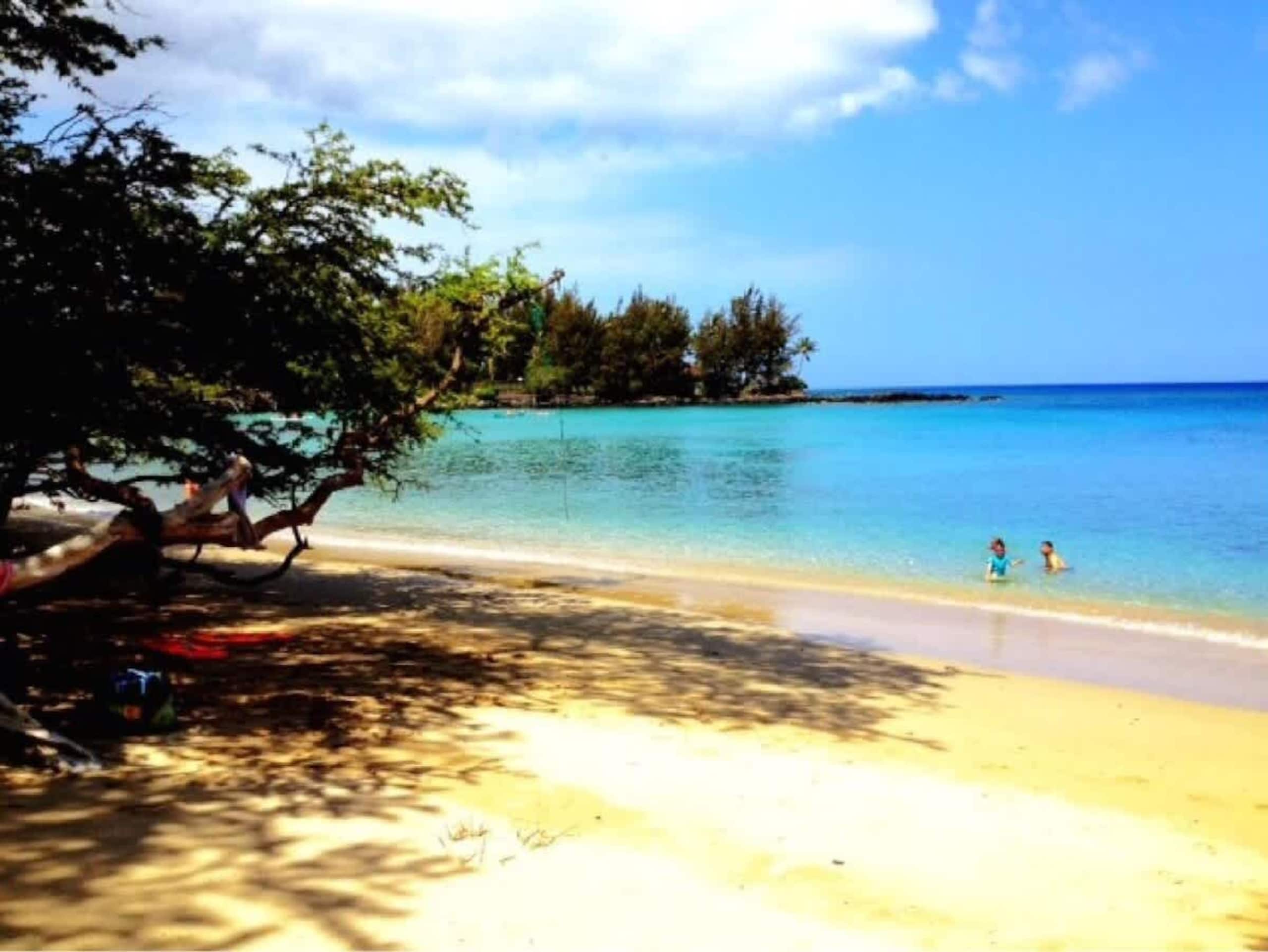 Condo in Waimea · ★5.0 · 3 bedrooms · 4 beds · 2 baths - Image 34