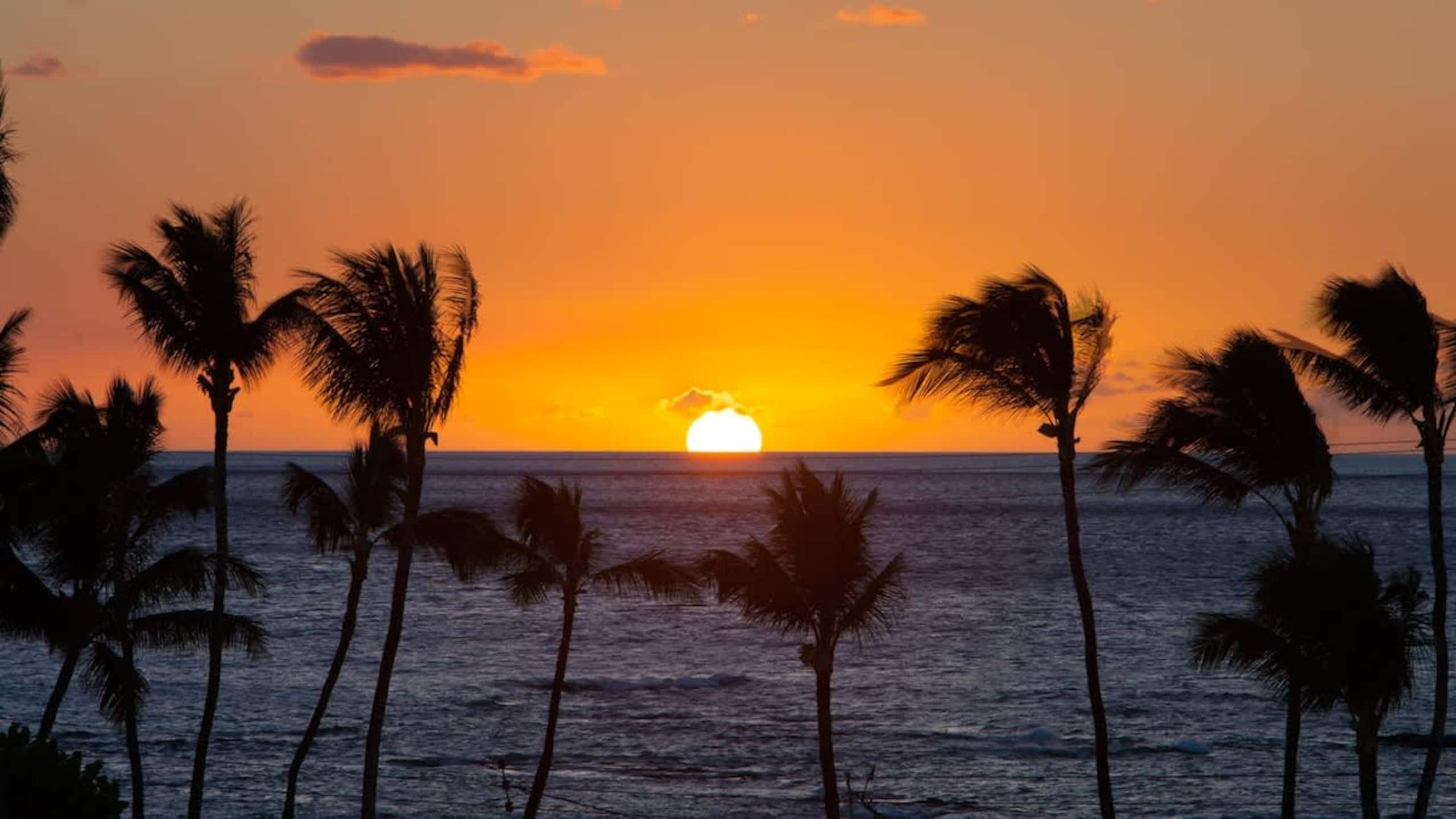 Condo in Waimea · ★5.0 · 3 bedrooms · 4 beds · 2 baths - Image 27
