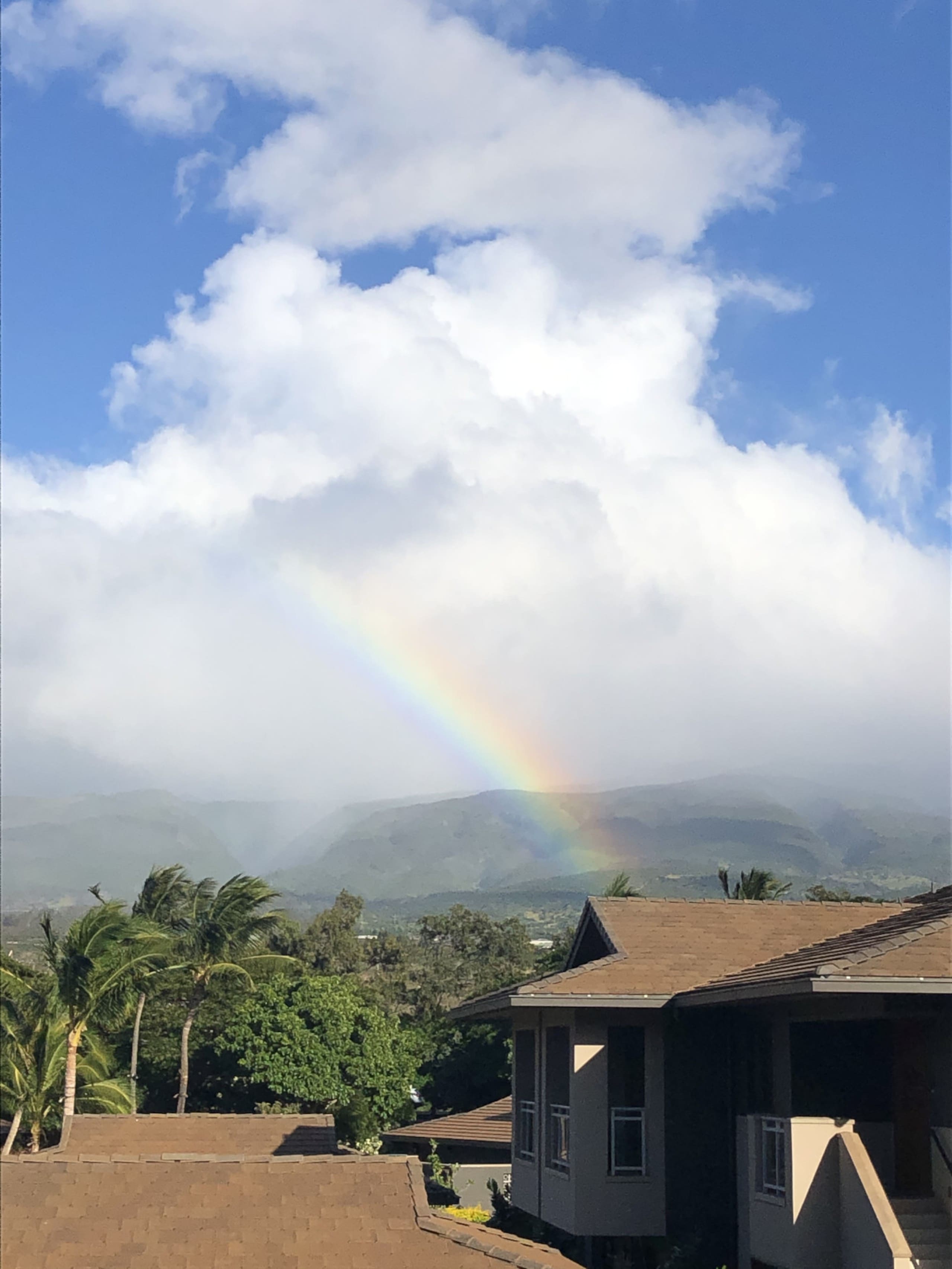 Villa in Lahaina · ★4.98 · 3 bedrooms · 6 beds · 3 baths - Image 52