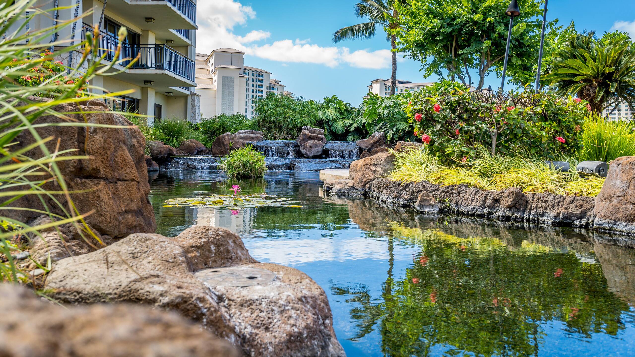 Condo in Kapolei · ★5.0 · 3 bedrooms · 4 beds · 2.5 shared baths - Image 35