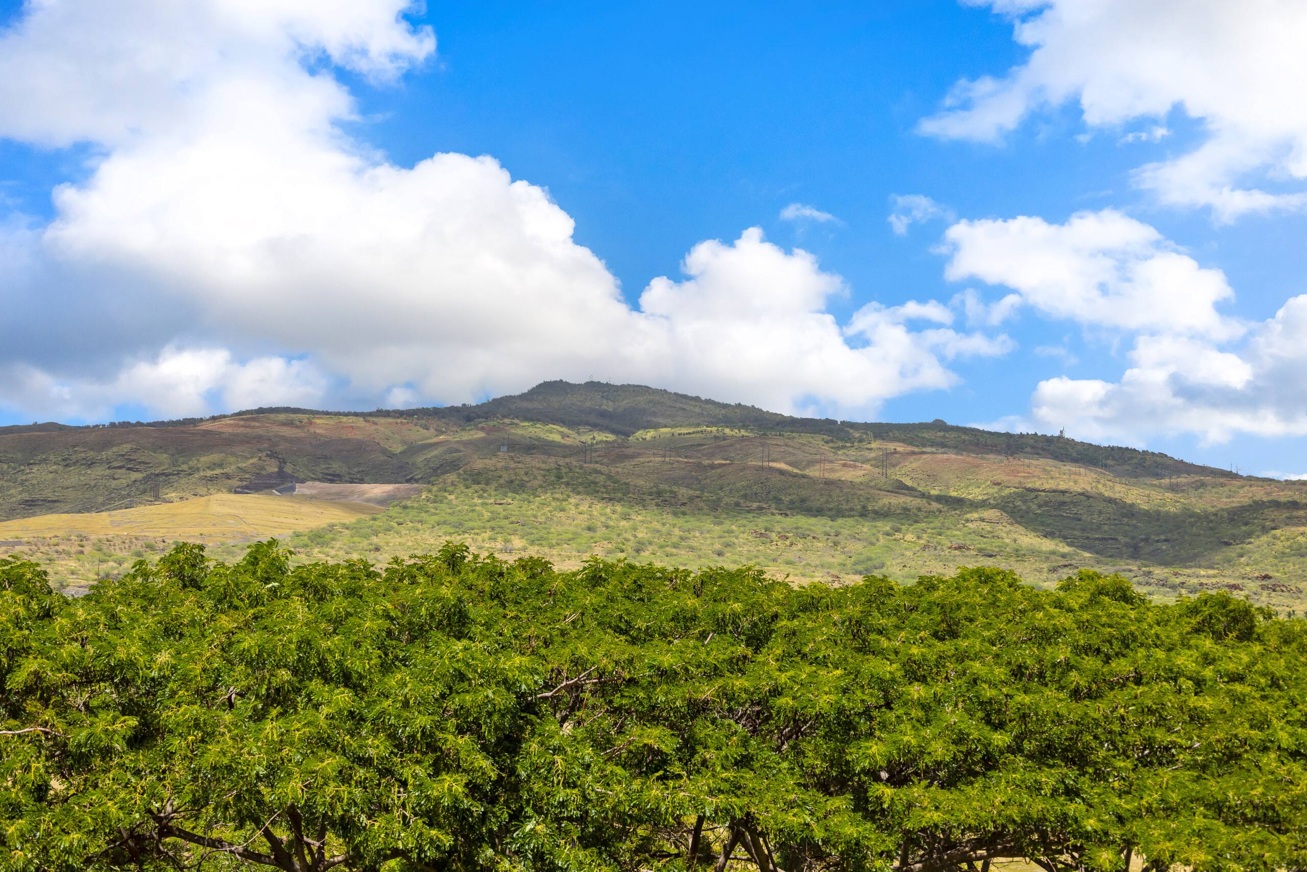 Condo in Kapolei · ★4.89 · 2 bedrooms · 3 beds · 2 shared baths - Image 30