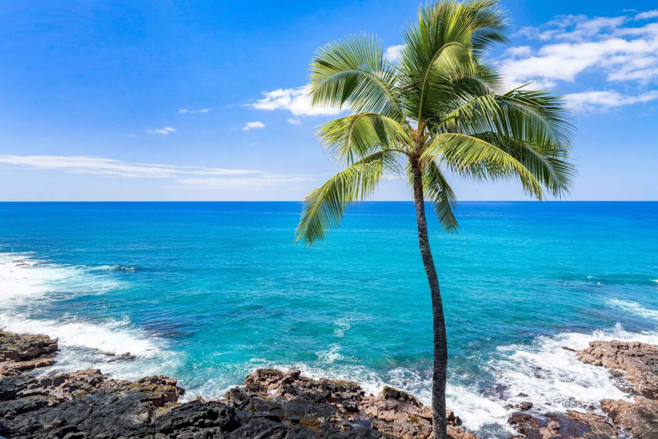 Condo in Kailua-Kona · ★4.86 · 2 bedrooms · 2 beds · 2 baths - Image 22