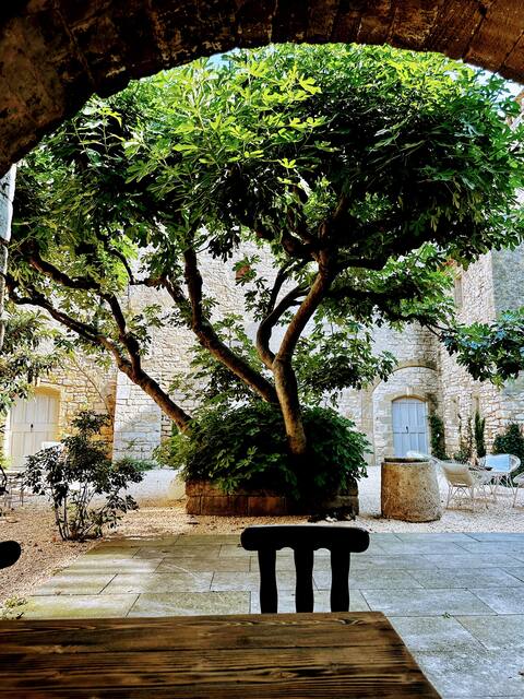 New! Historic Chateau near Uzès, 3 apartments, cou