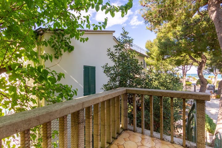 La Pinetina Trilo - Alba Adriatica