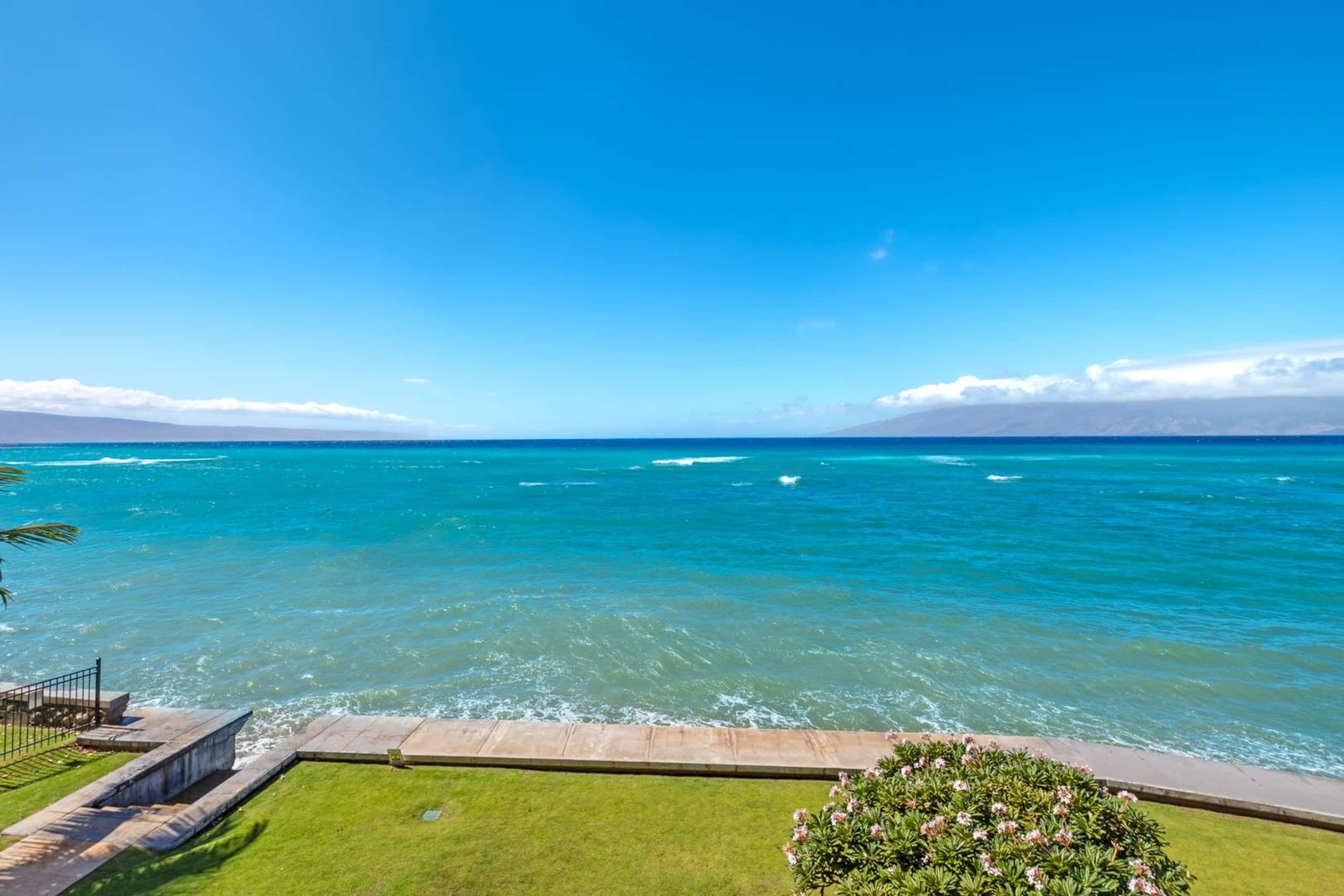 Condo in Lahaina · ★4.98 · 1 bedroom · 2 beds · 1 bath - Image 25