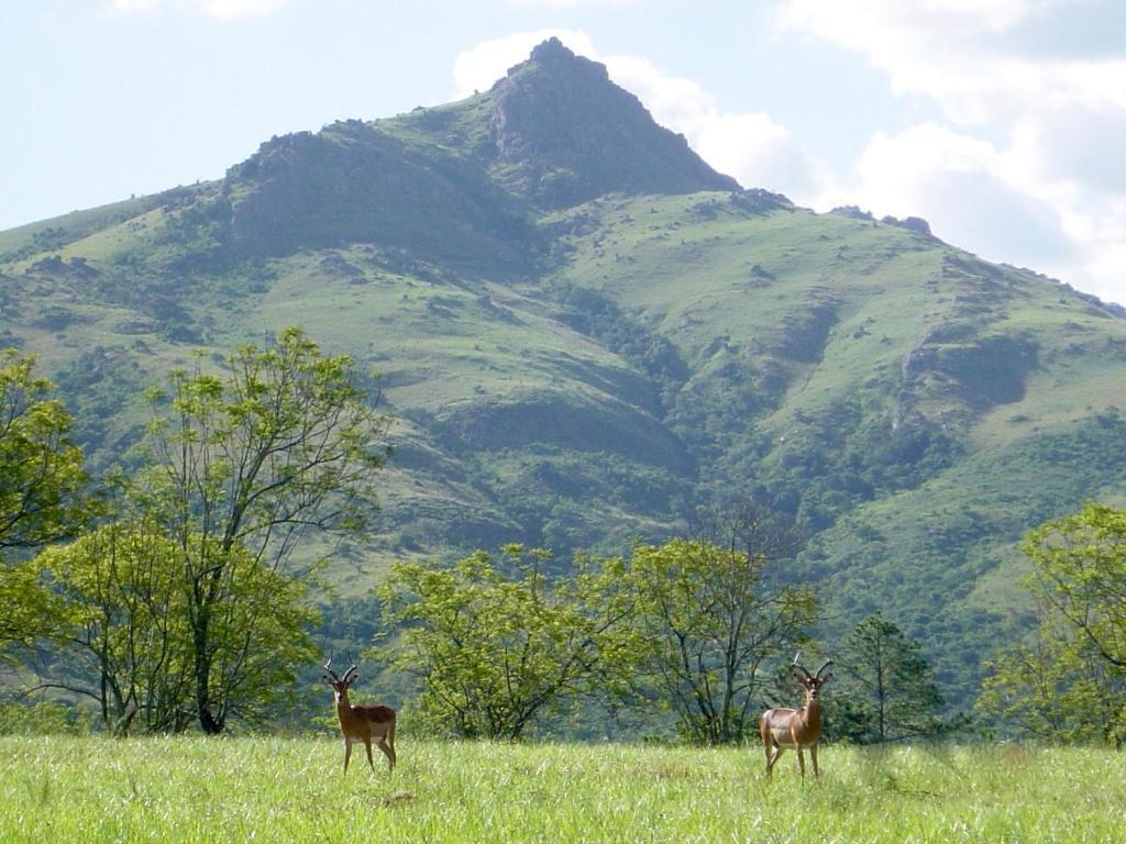 A serene landscape features a lush green meadow with two deer grazing peacefully. In the background, a prominent mountain rises, showcasing rolling hills and scattered trees under a blue sky with fluffy clouds.
