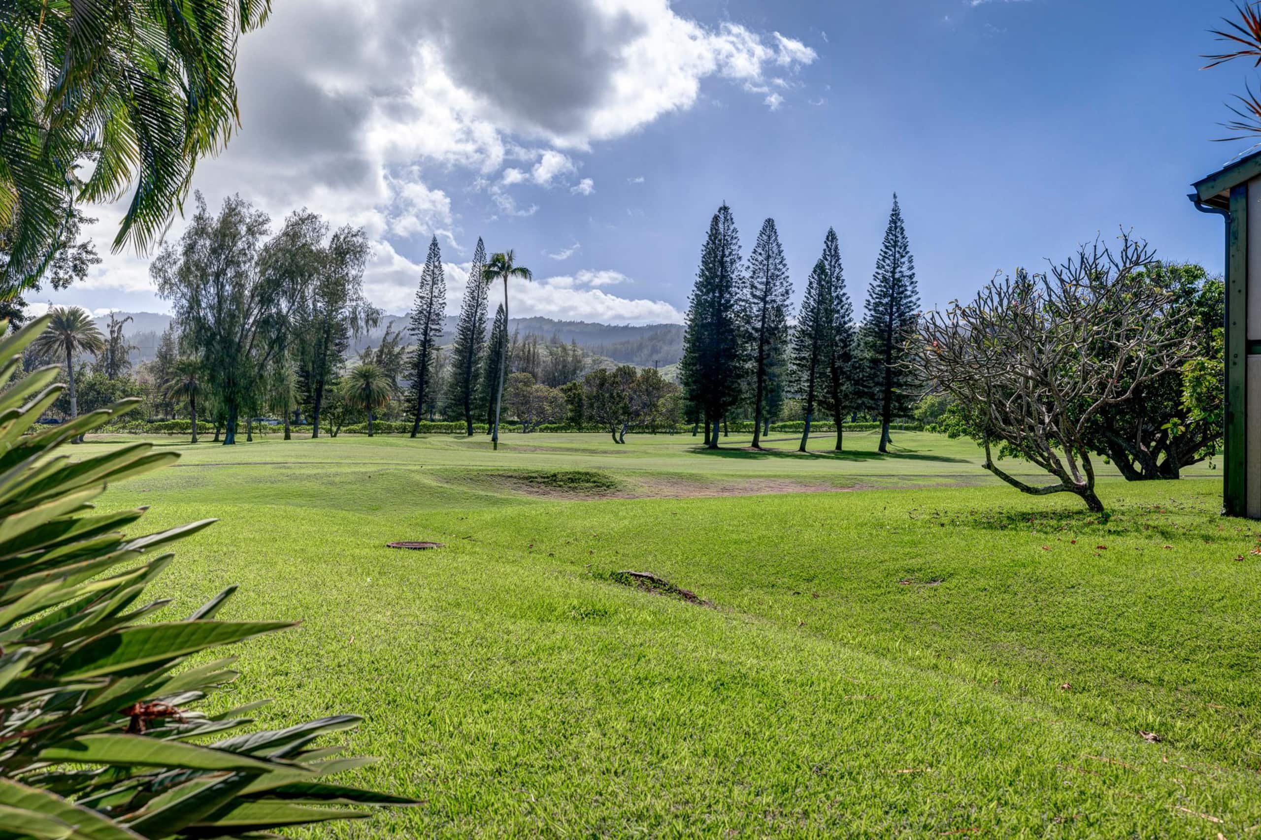 Condo in Kahuku · ★4.8 · 1 bedroom · 1 bed · 1 shared bath - Image 37