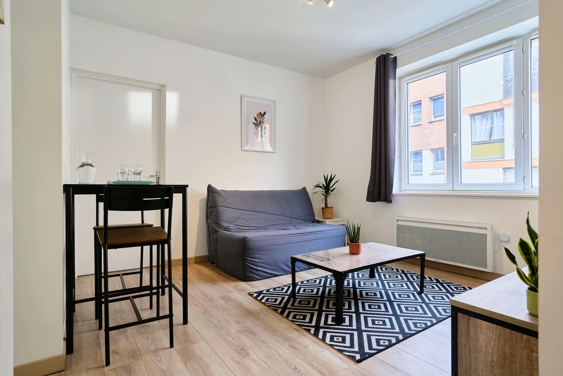 Top performing Airbnb: Quiet one-bedroom flat close to the metro in Vauban Esquermes